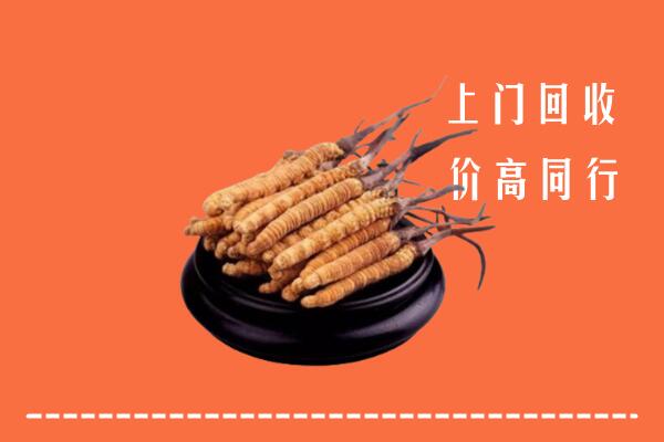 收购行情：嘉兴冬虫夏草回收多少钱每克