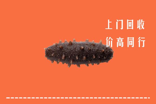 嘉兴高价回收海参