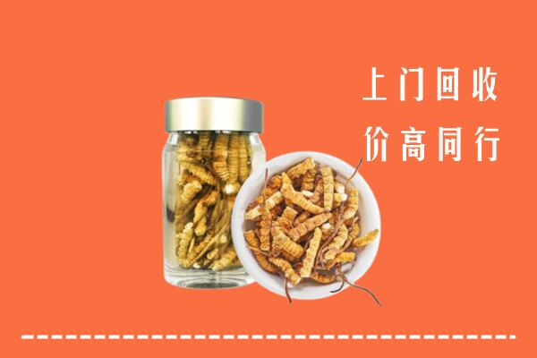 嘉兴回收冬虫夏草